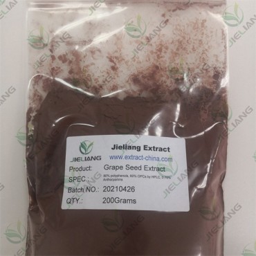 Grape Seed Extract, Grape Seed Extract